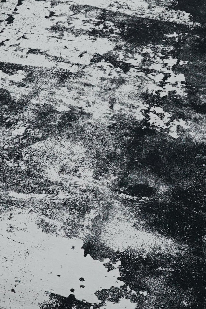 Black and White Ink Printed Polypropylene Rug - 200 x 300