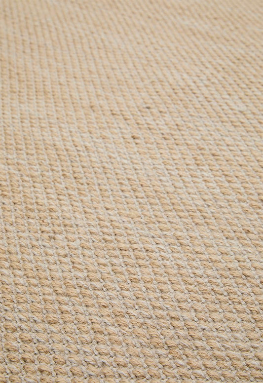 Reese Handwoven Indoor/Outdoor Rug Natural - 300 x 400