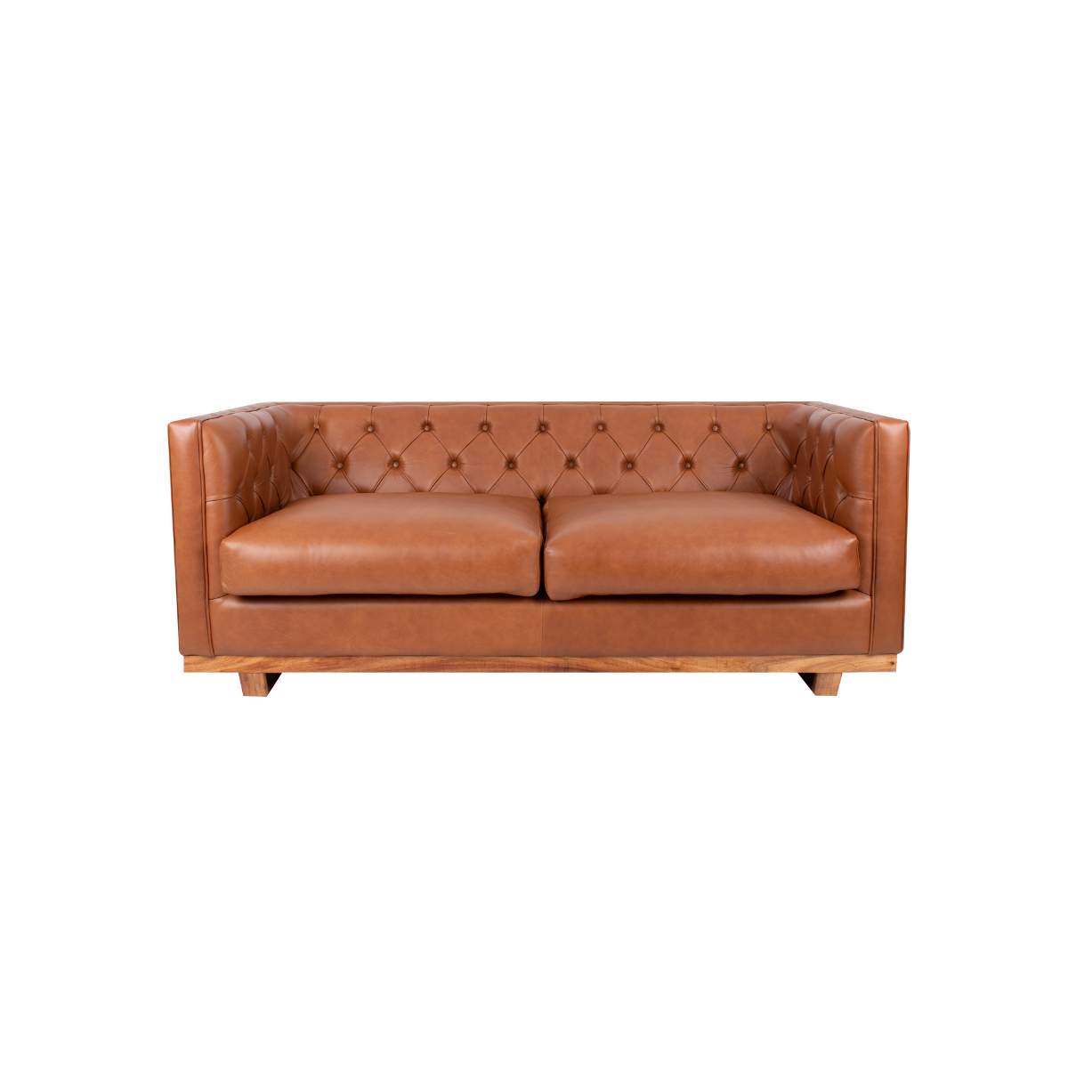 The Febe Leather Sofa