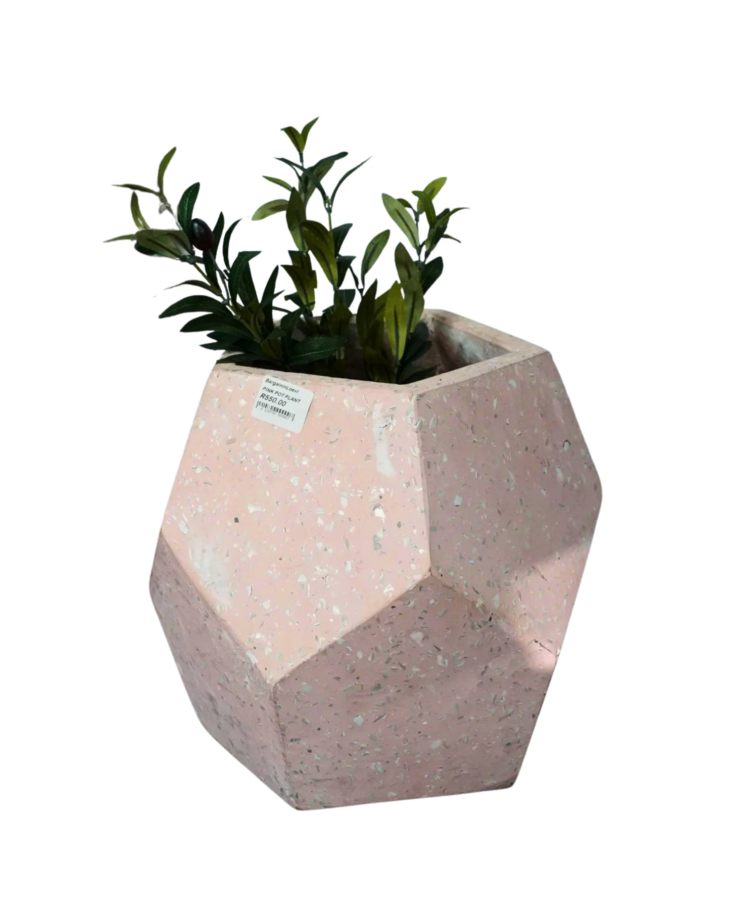 Pink Pot Plant
