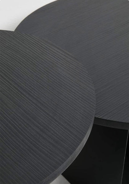 Quinn Nesting Table Set Of 2 - Black