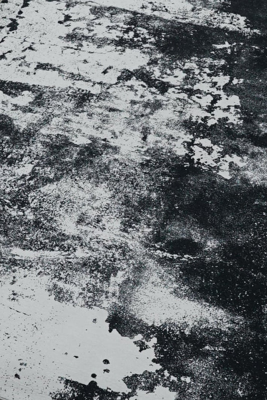 Black and White Ink Printed Polypropylene Rug - 200 x 300