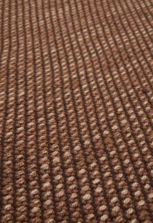 Reese Handwoven Outdoor/Indoor Rug Rust - 300x400