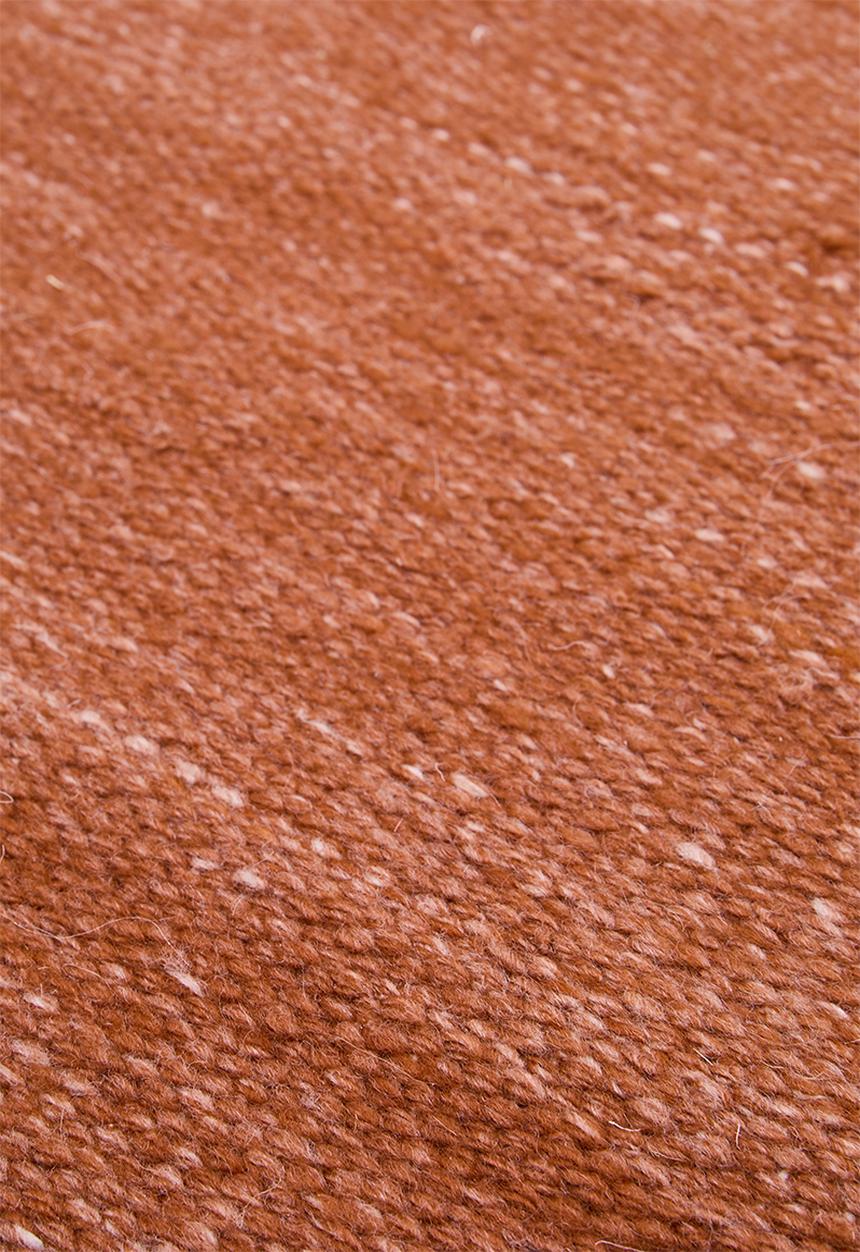 Capri Outdoor/Indoor Rug Rust - 300 x 400