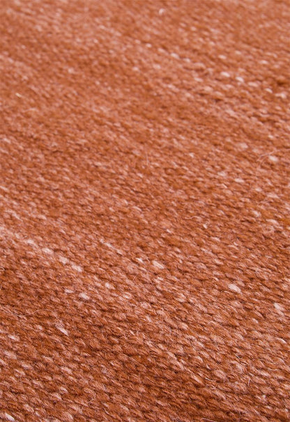 Capri Outdoor/Indoor Rug Rust - 300 x 400
