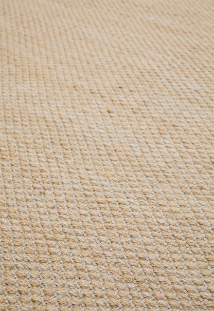 Reese Handwoven Indoor/Outdoor Rug Natural - 300 x 400