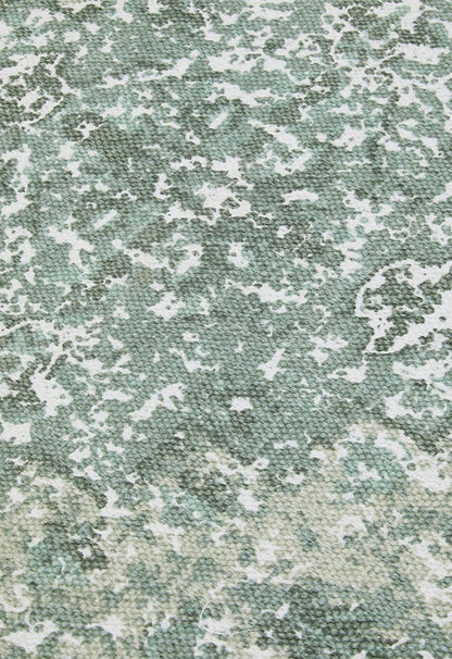 Antique Printed Rug Sage - 200 x 300